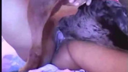 Зоофилка из Бразилии занимается горячим сексом с собакой